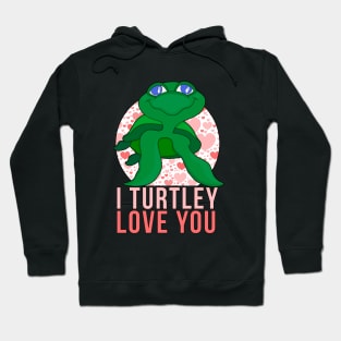 I Turtley Love You Hoodie